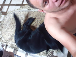 Ищу властную красотку для куни  – Фото 1