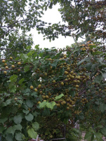 Секс без обезательств – Фото 1