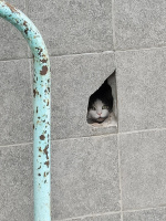 Паренек из Волгограда, ищу девчоночку для приятного времяпровождения – Фото 1