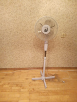 Мужчина ищет девушку для встречи. – Фото 1