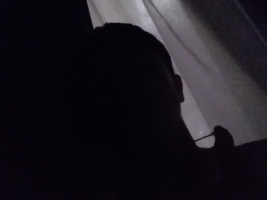 Хочу секса, галодный как зверь – Фото 1