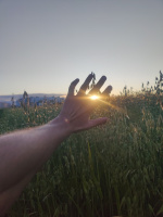 Вы все никчёмны  – Фото 1