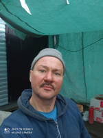 Серж ищет свою франсис – Фото 1