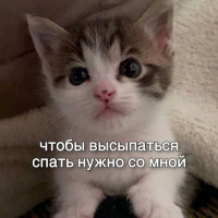 Ищу девушку для встреч – Фото 1