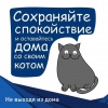 РУССКИЙ МЕДВЕДЬ, 32 года, Секс без обязательств, Смоленск